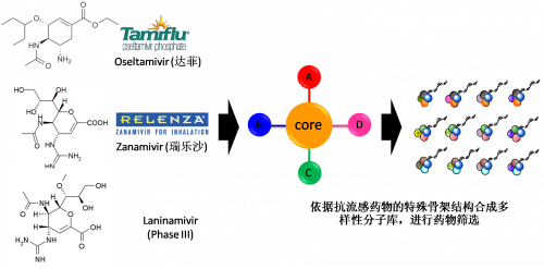 图2：以现有抗流感药物的结构为基础，进行多样性药物分子库的合成。