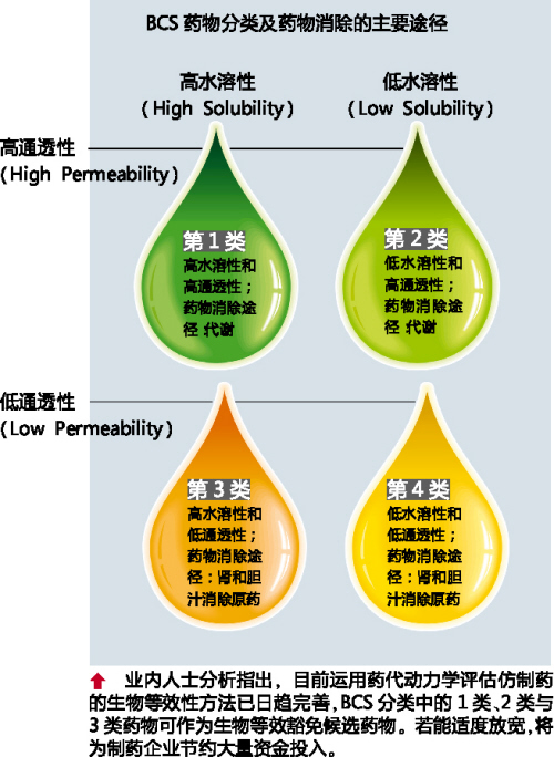 /BCS药物分类及药物消除的主要途径