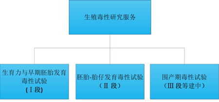 美迪西的生殖毒性服务