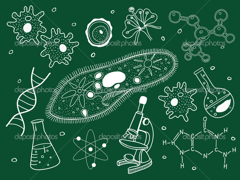 Nature：科学家找到杀死抗药细菌的新靶点