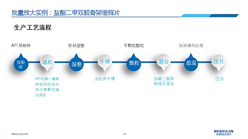 美迪西 变更参比制剂 李国栋博士演讲PPT