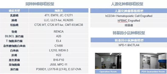 美迪西药效学动物模型