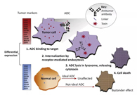 浅析：ADC药物的抗癌之路