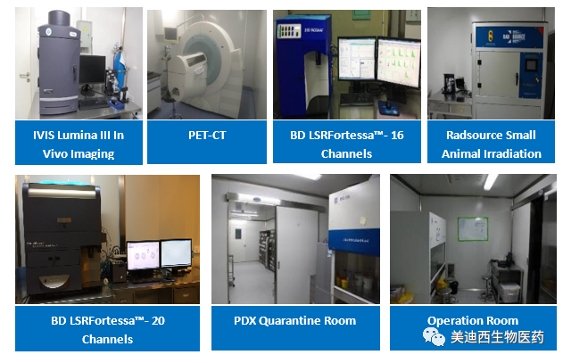 美迪西药理部拥有IVIS Lumina III, PET-CT, BD LSRFortessa-16, Flow Cytometry等仪器，提供符合申报，支持临床试验的药效评价服务。