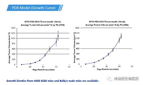 美迪西PDX药效模型
