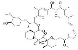 雷帕霉素新制剂用于罕见病，获4500万美元融资