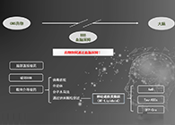 人工合成NT类脂质开放血脑屏障，为CNS药物打开新局面