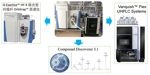 美迪西UHPLC-UV-QE HF-X系统