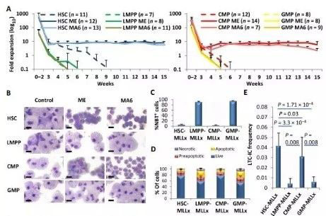 Science子刊：一种FDA批准的抗腹泻药物可有效对抗化疗的耐药性 美迪西生物医药