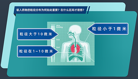 吸入药物的粒径分布为何如此重要？在什么区间才理想？