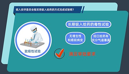 吸入安评是否全程采用吸入给药的方式完成试验呢？