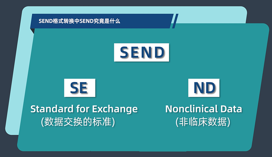 SEND格式转换中的SEND究竟是什么？