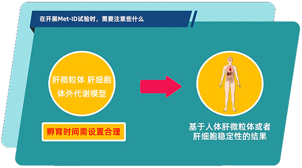 肝微粒体、肝细胞体外代谢模型中，孵育时间需设置合理.jpg