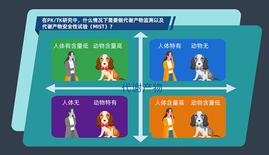 在PK-TK研究中，什么情况下需要做代谢产物监测以及代谢产物安全性试验（MIST）