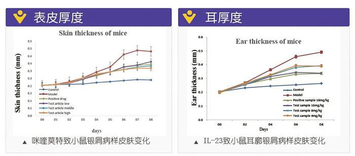 美迪西模拟银屑病的建模模型-试验结果的指标.png