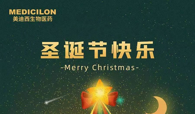 Merry Christmas！美迪西祝您圣诞节快乐！