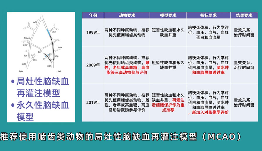 袁云云博士：啮齿类动物脑卒中疾病药效成药性评价系统（2）.jpg