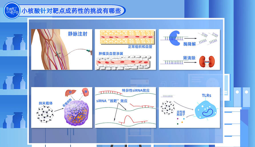 小核酸针对靶点成药性的挑战有哪些？