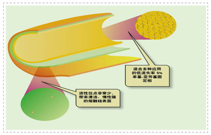 图3-管壁涂渍开口柱内表面未完全屏蔽的活性位点.jpg