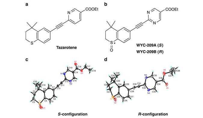 WYC-209可抑制恶性小鼠黑色素瘤肿瘤再生细胞增殖，SPR分析通过美迪西使用Biacore 8K设备进行