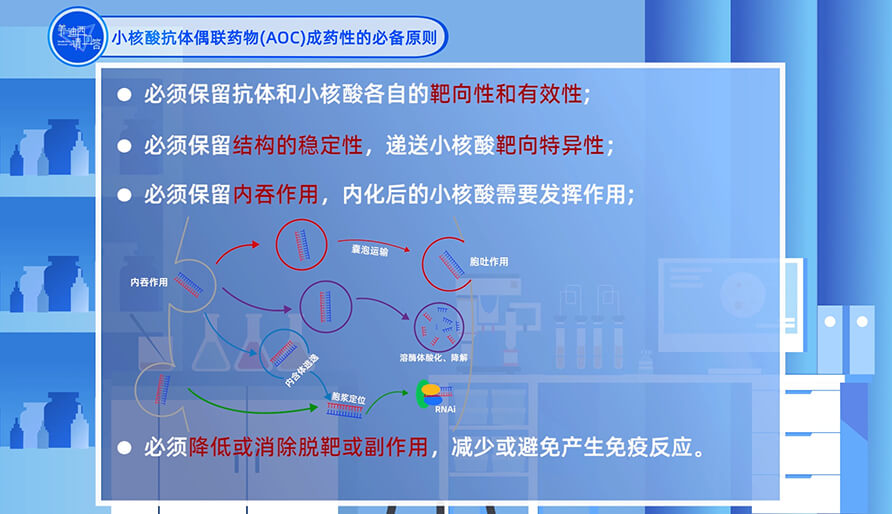 小核酸抗体偶联药物（AOC）成药性的必备原则？