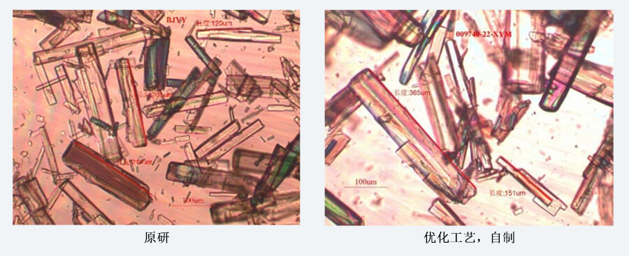 04案例分享-结晶工艺开发（制备结晶态）.jpg