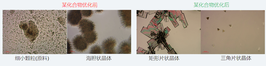 05案例分享-单晶培养，改变晶习.png