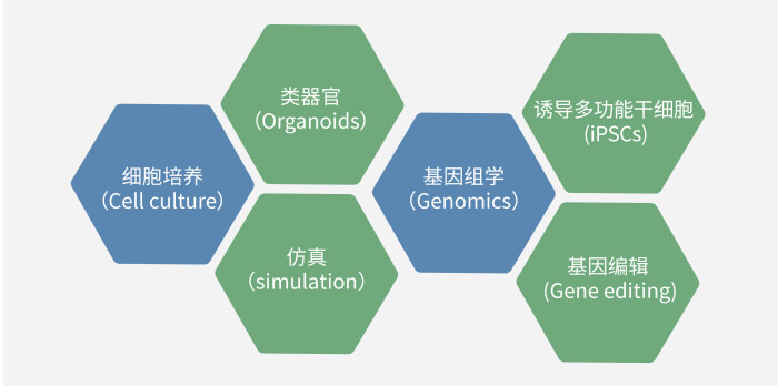 六大技术板块已上线，持续升级中.jpg