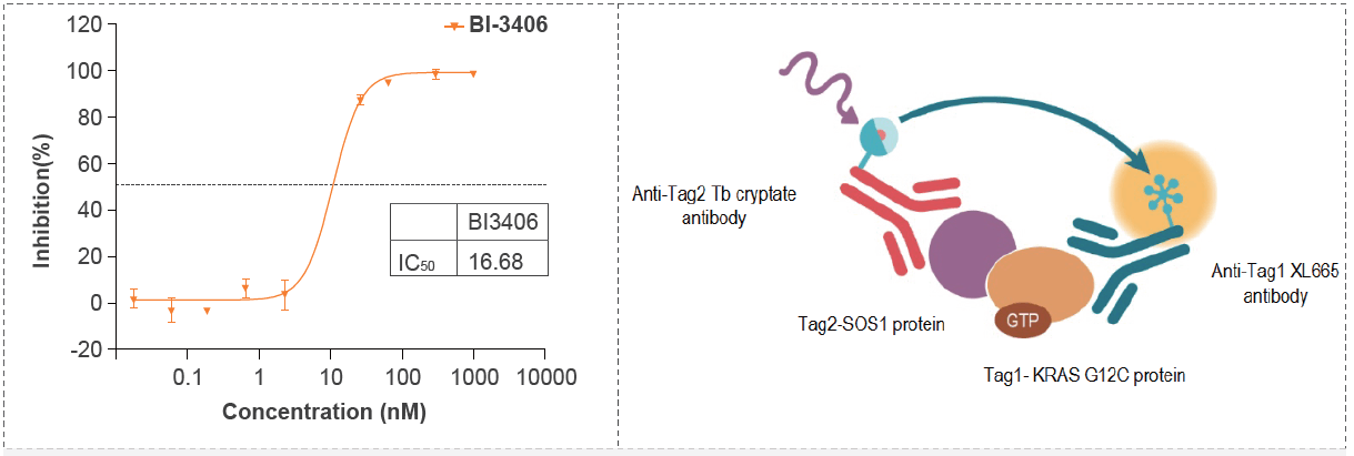 Kras G12C-SOS1结合的IC50活性测试筛选试验化合物.png