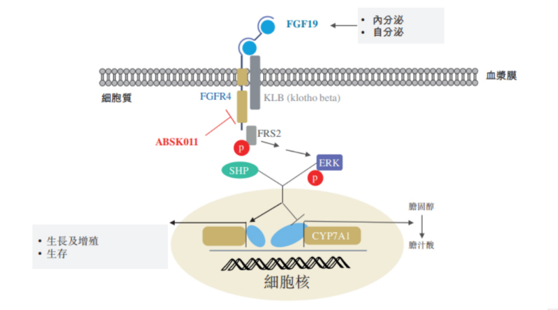 图源：公开资料.jpg