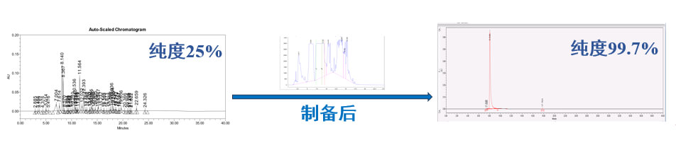 案例一：仿制药发补：大极性杂质制备.jpg