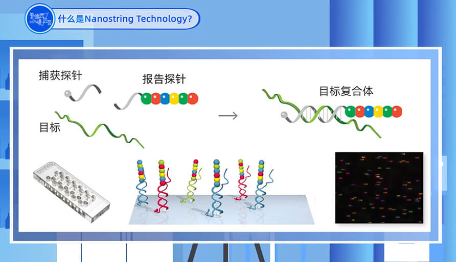 什么是Nanostring 技术？