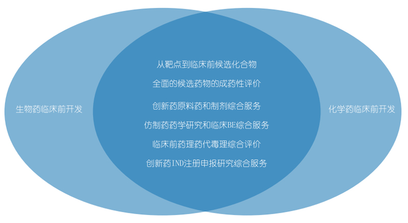 美迪西生物药物研发和化学药物研发.jpg